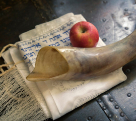 Roganović čestitao rabinu i pripadnicima zajednice praznik Roš Ašana